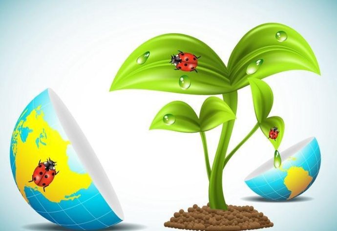 甲醇柴油的環(huán)保性 甲醇柴油的環(huán)保性